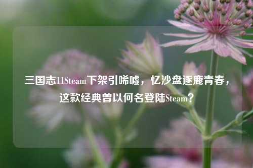 三国志11Steam下架引唏嘘，忆沙盘逐鹿青春，这款经典曾以何名登陆Steam？