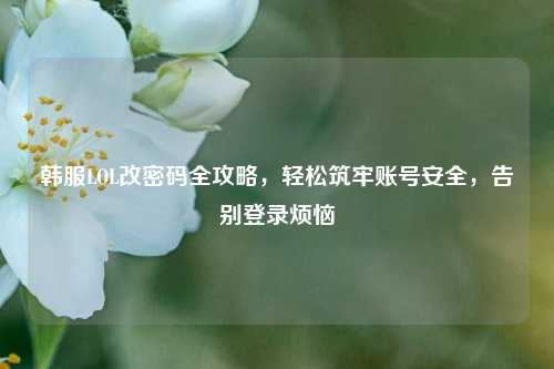 韩服LOL改密码全攻略，轻松筑牢账号安全，告别登录烦恼