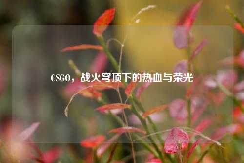 CSGO，战火穹顶下的热血与荣光