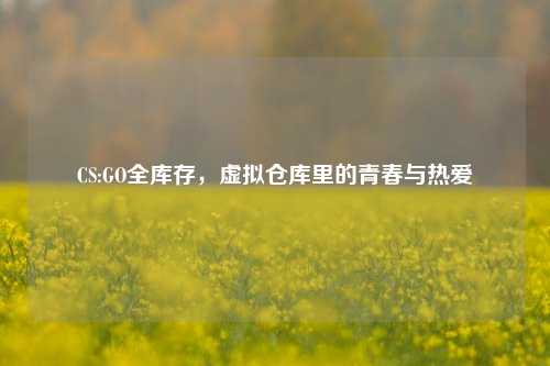 CS:GO全库存，虚拟仓库里的青春与热爱
