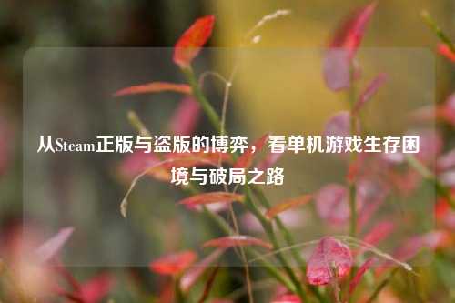 从Steam正版与盗版的博弈，看单机游戏生存困境与破局之路