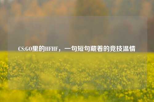 CS:GO里的HFHF,一句短句藏着的竞技温情
