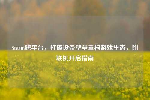 Steam跨平台,打破设备壁垒重构游戏生态,附联机开启指南
