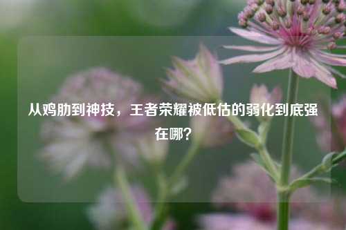 从鸡肋到神技，王者荣耀被低估的弱化到底强在哪？
