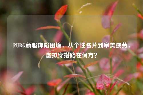 PUBG新服饰陷困境,从个性名片到审美疲劳,虚拟穿搭路在何方?