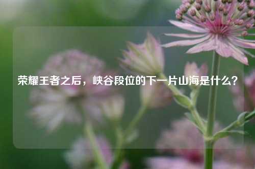 荣耀王者之后，峡谷段位的下一片山海是什么？