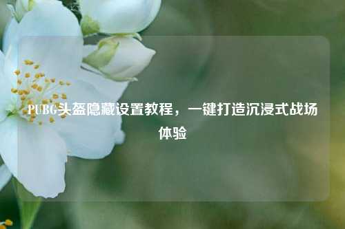 PUBG头盔隐藏设置教程,一键打造沉浸式战场体验