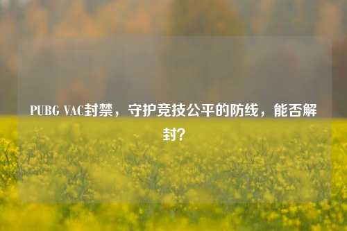 PUBG VAC封禁,守护竞技公平的防线,能否解封?