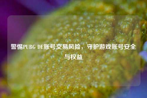 警惕PUBG DE账号交易风险,守护游戏账号安全与权益