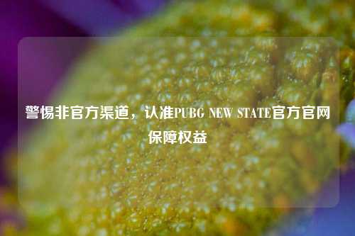 警惕非官方渠道，认准PUBG NEW STATE官方官网保障权益
