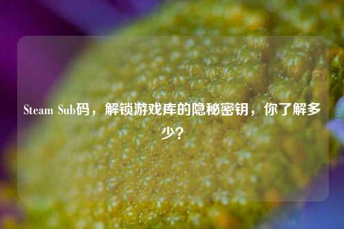 Steam Sub码,解锁游戏库的隐秘密钥,你了解多少?